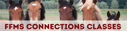 Connections Classes 
